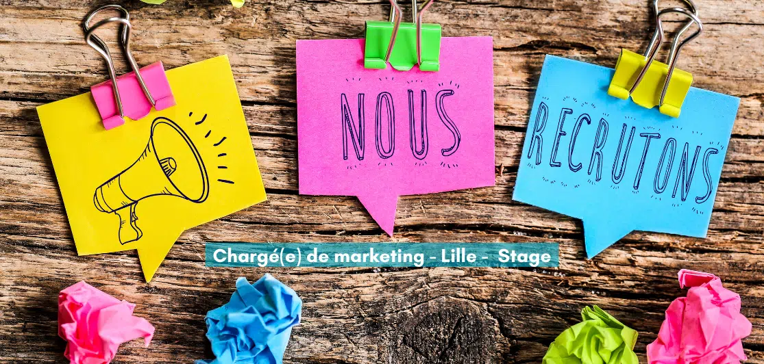 Recrutement stage chargé(e) de marketing Kappa Data France